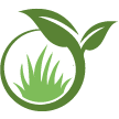 Ashburn Lawn Clean Up
