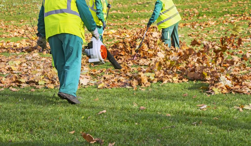 Removing Fallen Leaves
